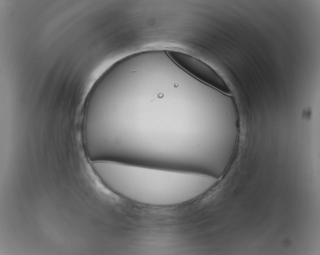 X0000111001102200906191138
