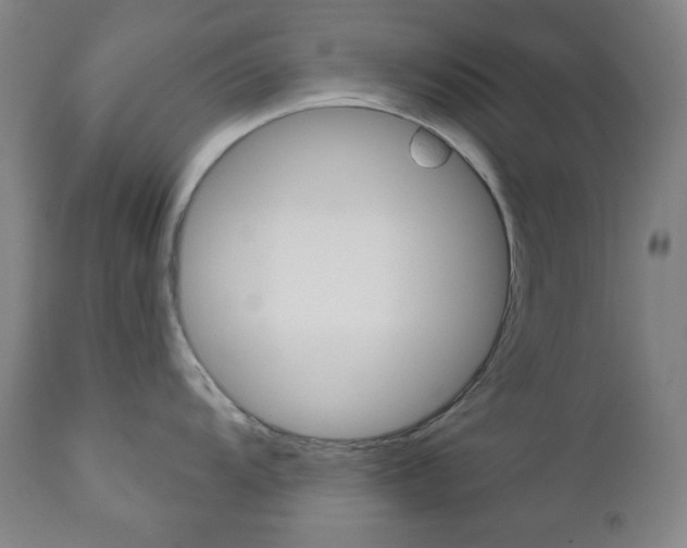 X0000111001104200906191138