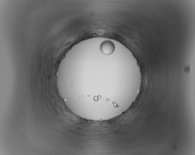X0000111001105200906191137