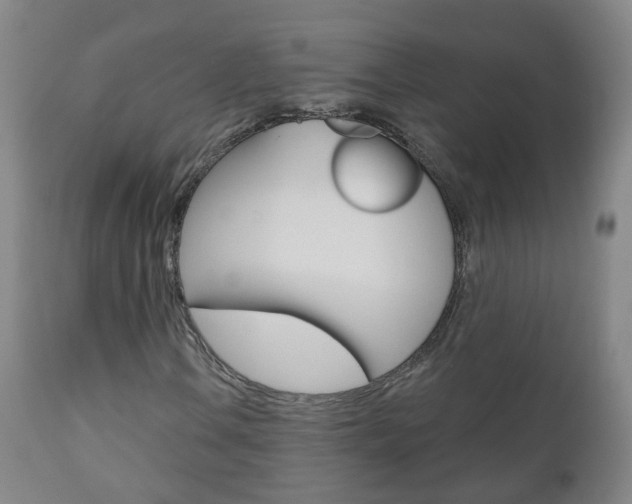 X0000111001106200906191137