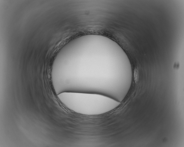 X0000111001107200906191137