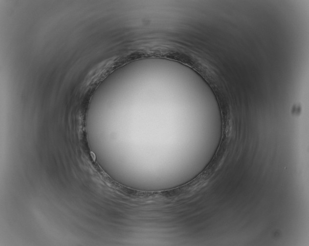 X0000111001108200906191137