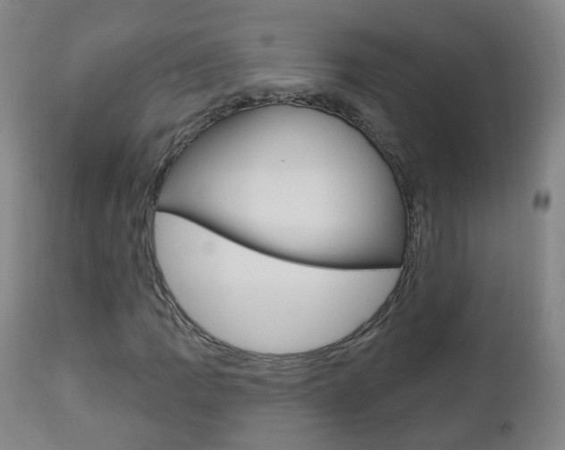 X0000111001109200906191137