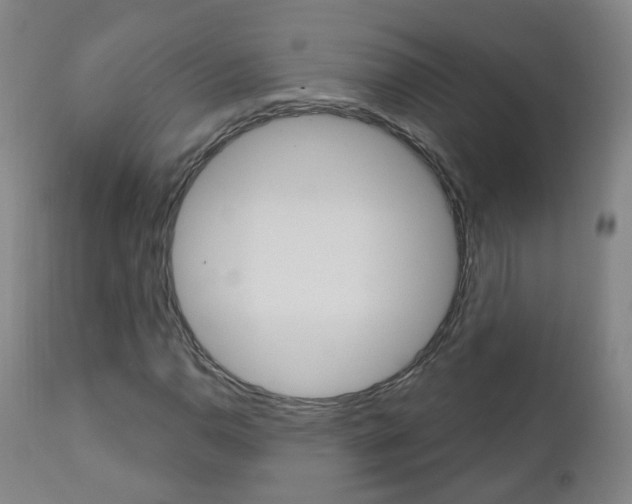 X0000111001110200906191137