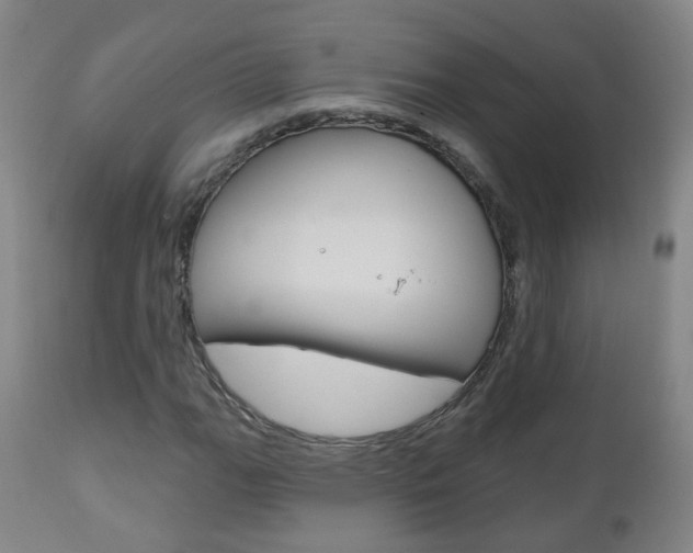 X0000111001111200906191137