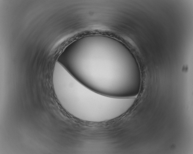 X0000111001112200906191137