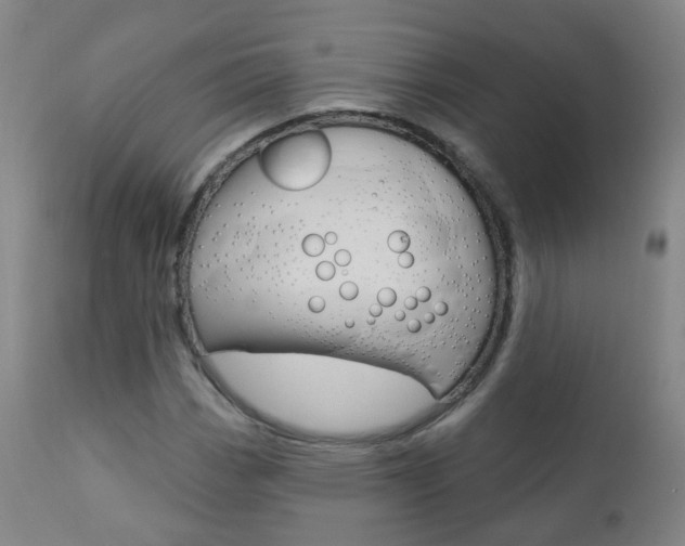 X0000111001113200906191137