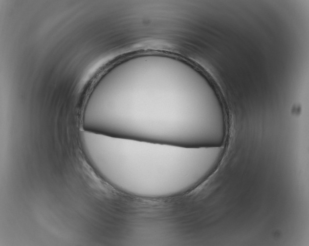 X0000111001115200906191137