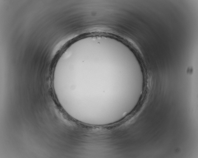 X0000111001117200906191137