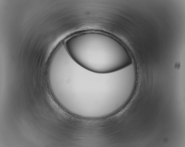 X0000111001118200906191137