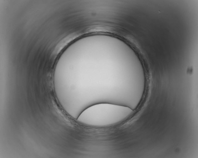 X0000111001121200906191137