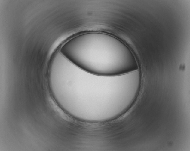 X0000111001122200906191137