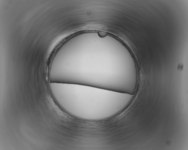X0000111001123200906191137