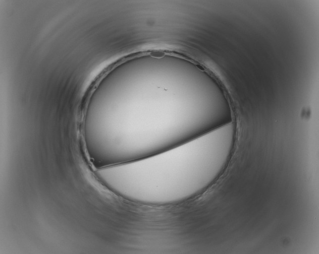 X0000111001124200906191137