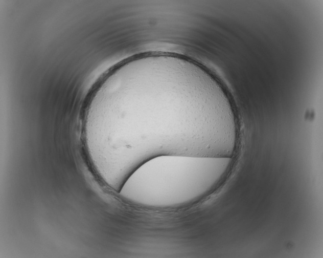 X0000111001125200906191137
