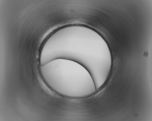 X0000111001126200906191137