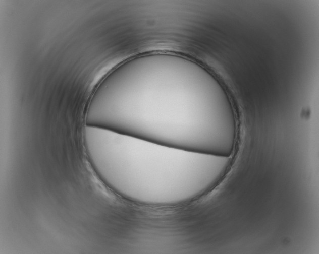 X0000111001129200906191137