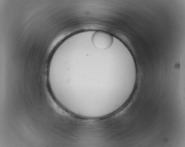 X0000111001130200906191137