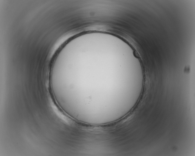 X0000111001131200906191137