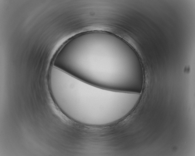 X0000111001132200906191137