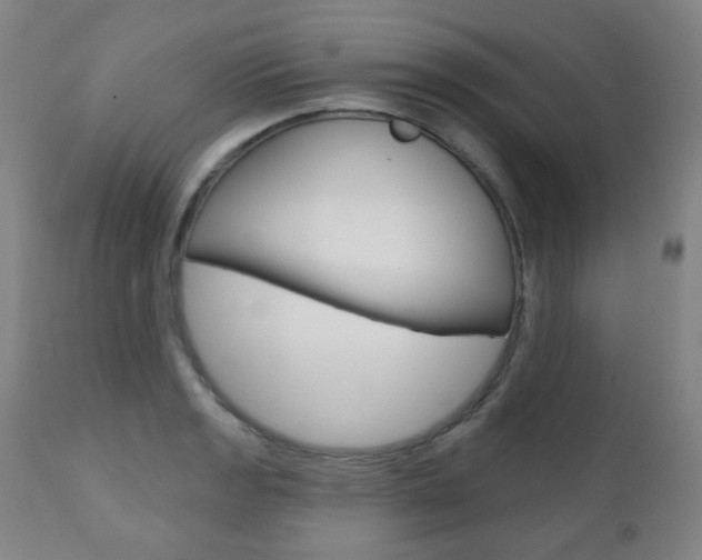 X0000111001133200906191137