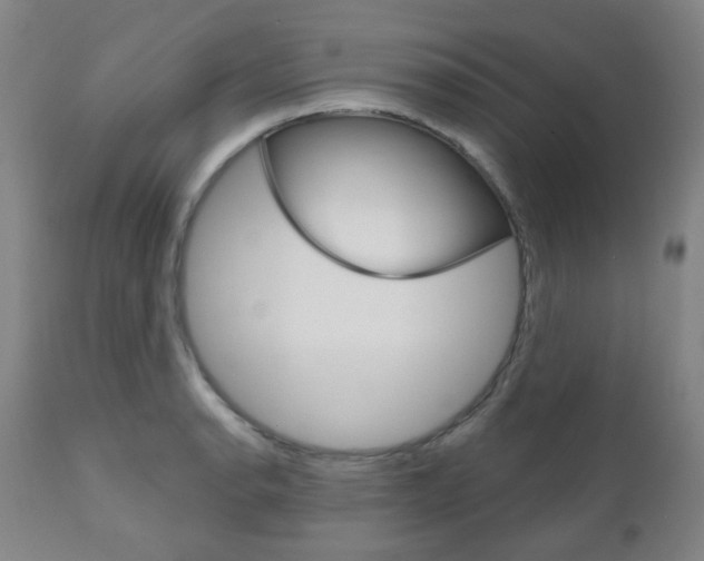 X0000111001134200906191137