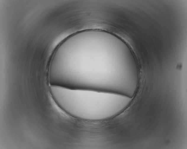 X0000111001135200906191137