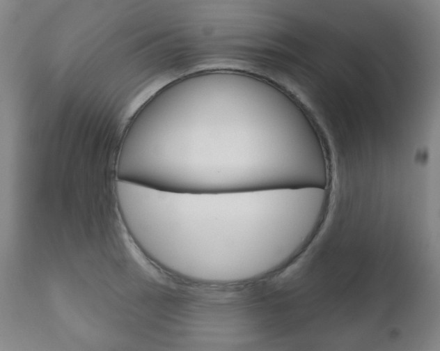 X0000111001137200906191137