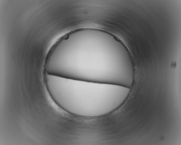 X0000111001139200906191137