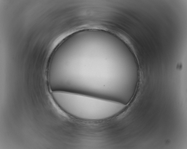 X0000111001141200906191138