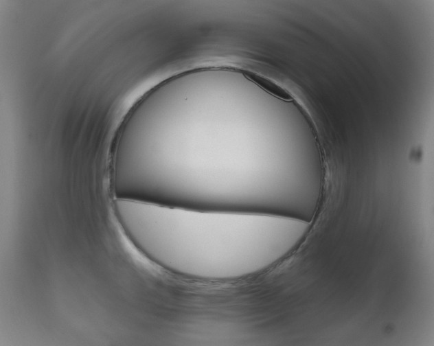X0000111001143200906191138