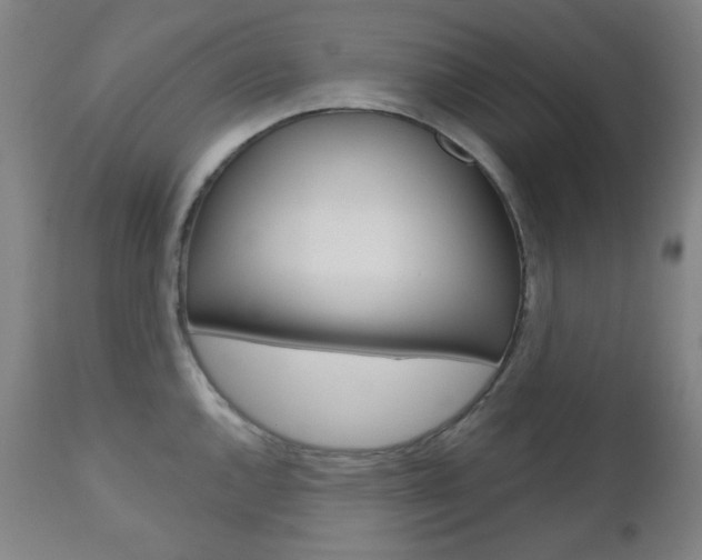 X0000111001144200906191138