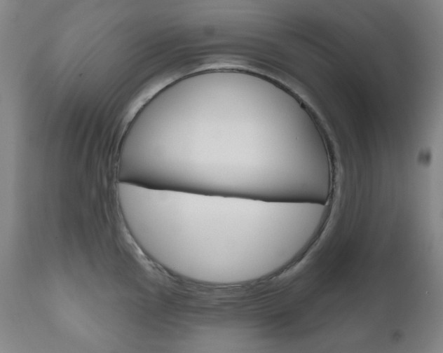 X0000111001145200906191138
