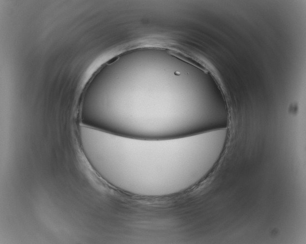 X0000111001146200906191138