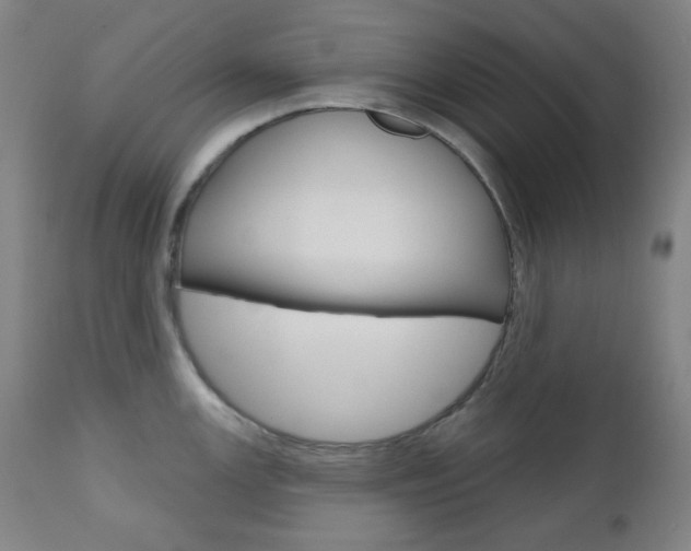 X0000111001147200906191138