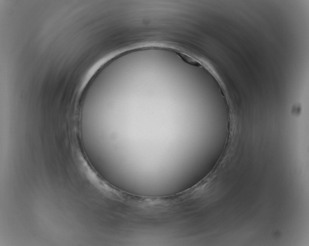 X0000111001148200906191138