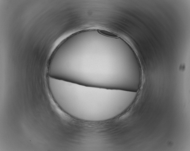 X0000111001149200906191138