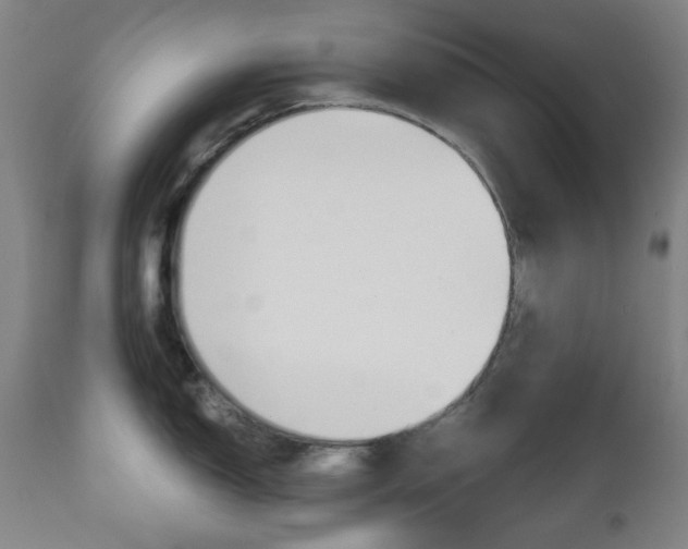 X0000111001150200906191138