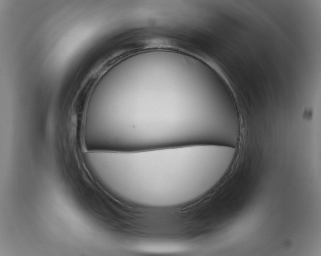 X0000111001151200906191138