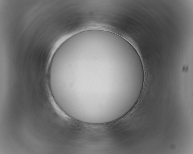 X0000111001152200906191138