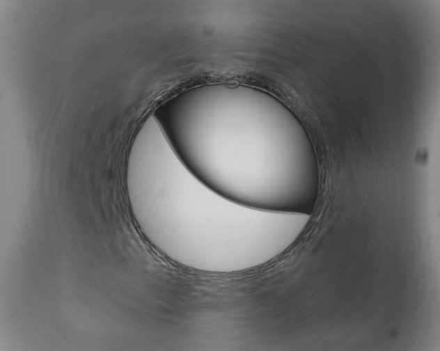 X0000111001153200906191137