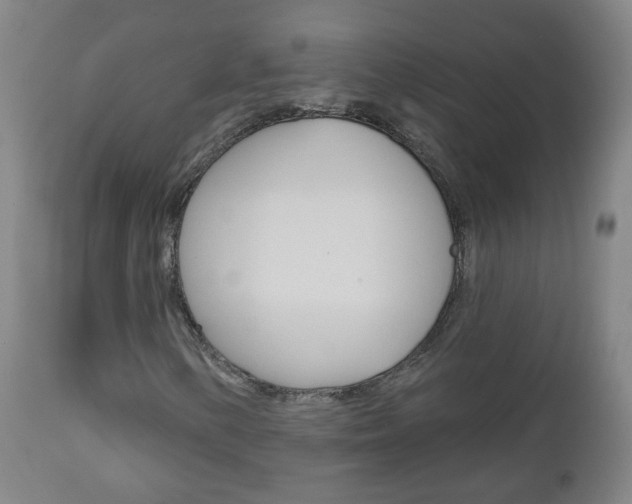 X0000111001154200906191137