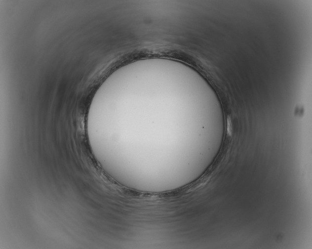 X0000111001155200906191137