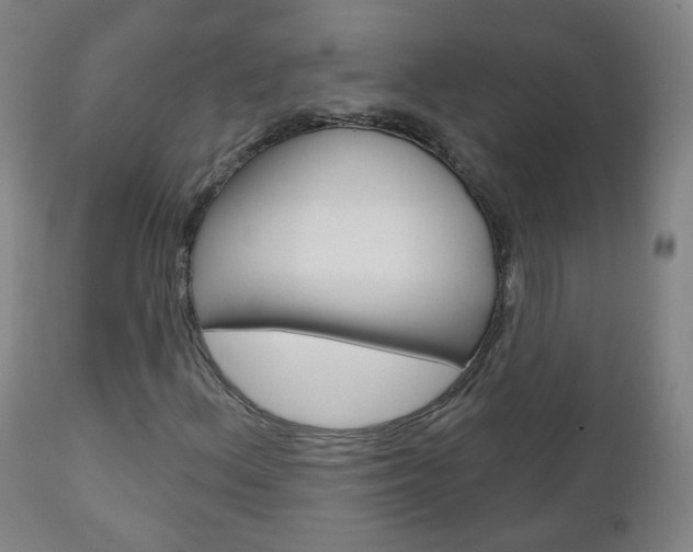 X0000111001156200906191137