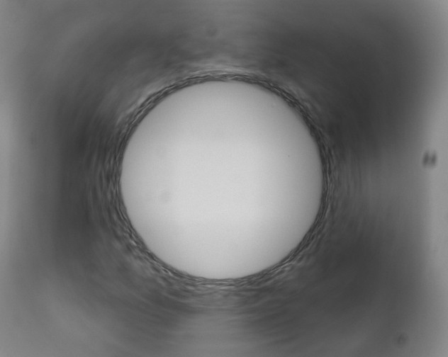 X0000111001157200906191137