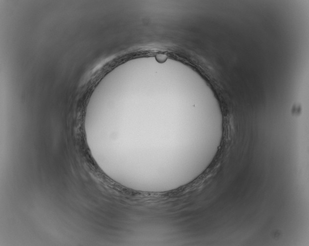 X0000111001158200906191137