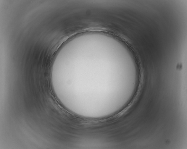 X0000111001161200906191137
