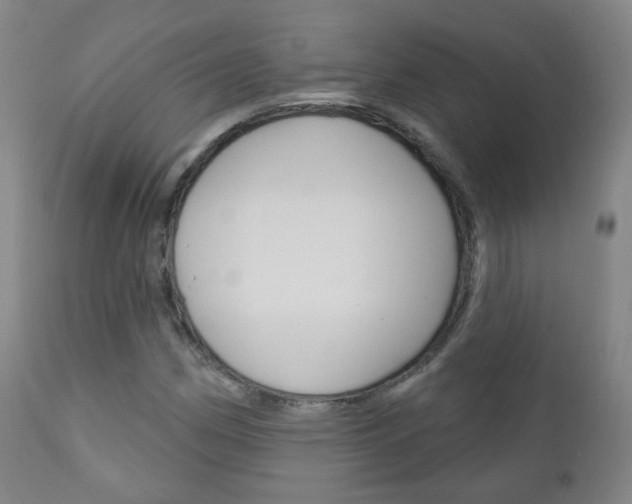 X0000111001162200906191137