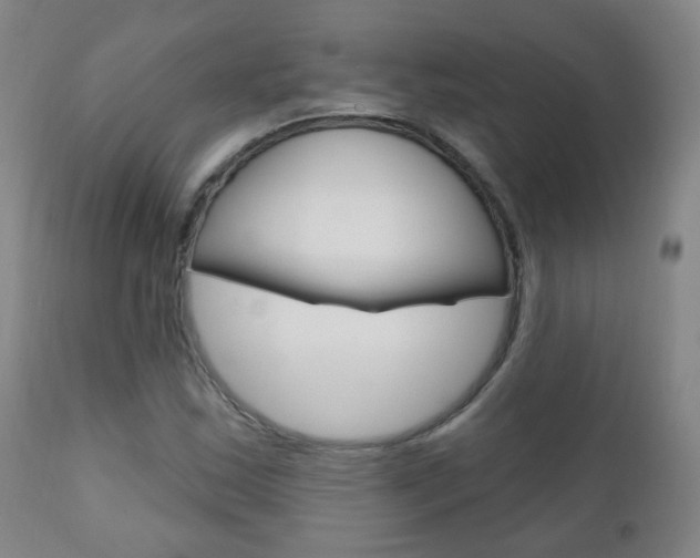 X0000111001163200906191137
