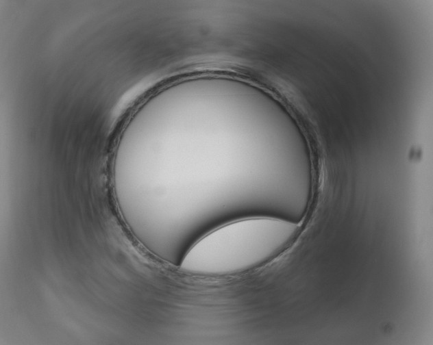 X0000111001164200906191137